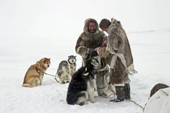 Journal of the Inuit Sled Dog